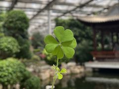 -九天休闲谷
