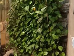 -德全心悦酒店(北京金台路地铁站店)