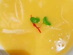 -宁波柏悦酒店·钱湖渔港