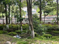 -成都市活水公园