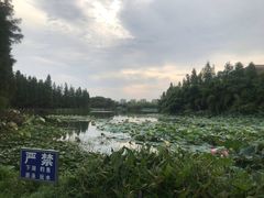 -艾溪湖湿地公园