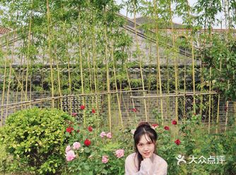 台儿庄古城 两日游拍照攻略 在网上预订的loft民宿