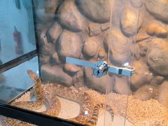 -上海昆虫博物馆