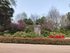 -洛阳市牡丹公园