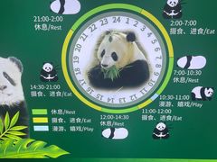 -海南热带野生动植物园