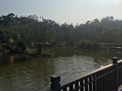 -厦门悦华酒店