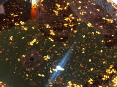 -苏记奶酪(二中店)