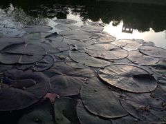 IMG20140404006-江南大学(蠡湖校区)