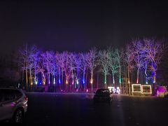 -枫花园汽车电影院(朝阳公园店)