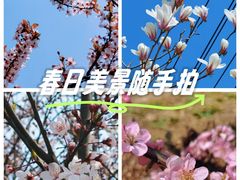 -大连熟食品交易中心
