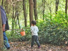 -白鹭湾湿地公园