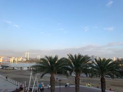 -海沧湾公园