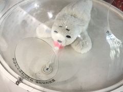 -日本科学未来馆
