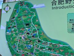 -合肥野生动物园