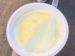 德禄酸奶-德禄酸奶(莫家街店)