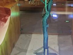 -星河湾温泉洗浴酒店