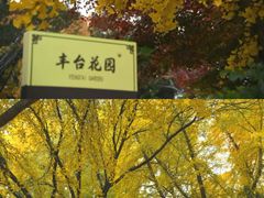 -丰台花园