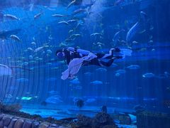 -华夏文旅海洋公园