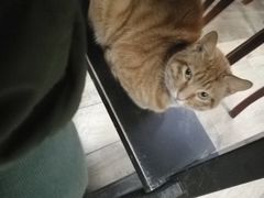 -巧云大馄饨(南阴阳营总店)