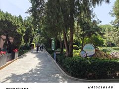 -黄村公园