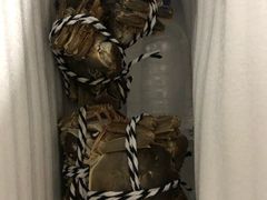 -七的湖·晚芳亭·阳澄湖农家菜·大闸蟹(莲花岛店)