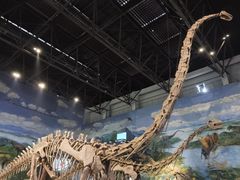 -自贡恐龙博物馆