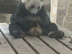 -无锡动物园·太湖欢乐园