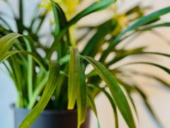 -桃源居(蠡园店)