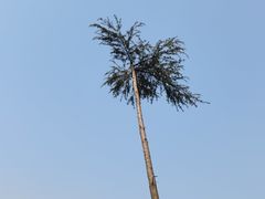 -白鹭湾湿地公园