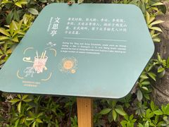 -北极阁公园