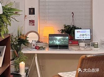 吐司日常|我房间里的春天