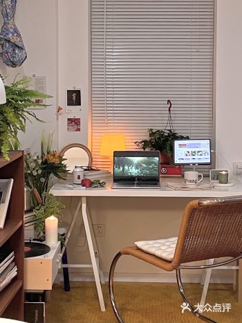 吐司日常|我房间里的春天