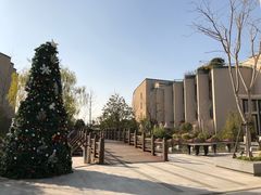 -上海崇明金茂凯悦酒店