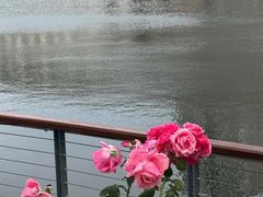 -山东大学(威海校区)