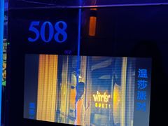 -温莎KTV(珠江路店)