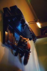-IMUSE BARBER SHOP