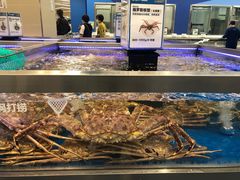 -盒马X会员店(上海森兰商都店)