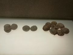 -信阳博物馆
