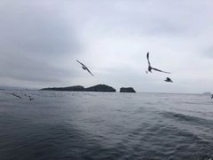 -拓恩帆船俱乐部