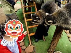-昆明动物园