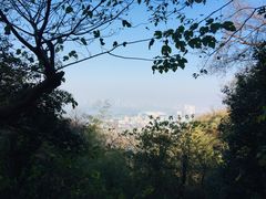 -紫金山天文台