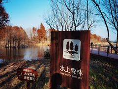 -贡湖湾湿地公园