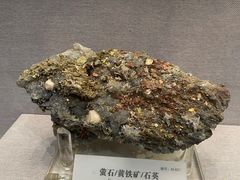 -湖南省地质博物馆