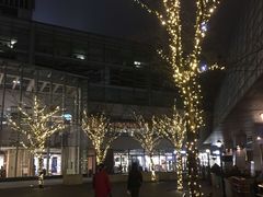 -上海浦东嘉里大酒店