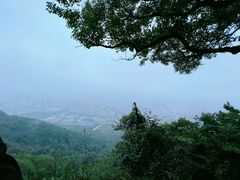 -惠山国家森林公园