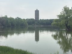 -北京大学赛克勒考古与艺术博物馆