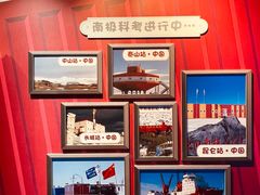 -上海海昌海洋公园