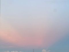 -大亚湾红树林城市湿地公园