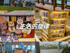-猫的天空之城概念书店(北戴河蔚蓝海岸店)