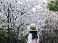 -武昌江滩